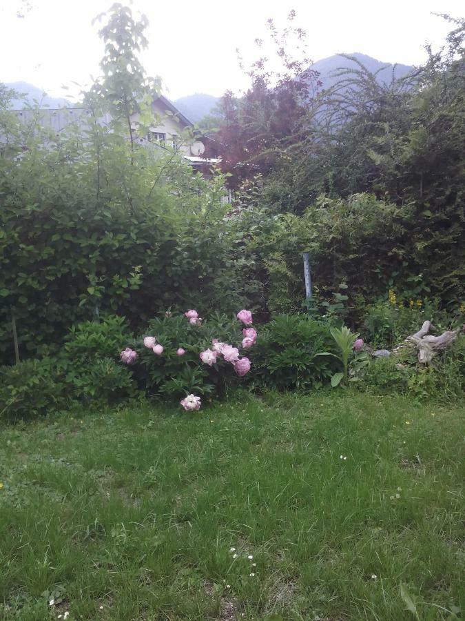 Ferienwohnung Karin Humer Bad Ischl Extérieur photo